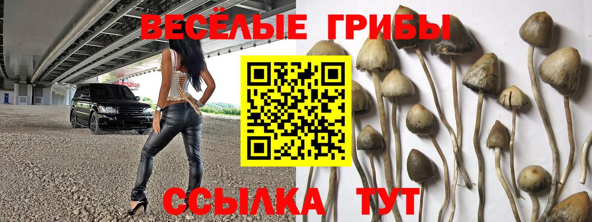 Псилоцибиновые грибы прущие грибы Наро-Фоминск
