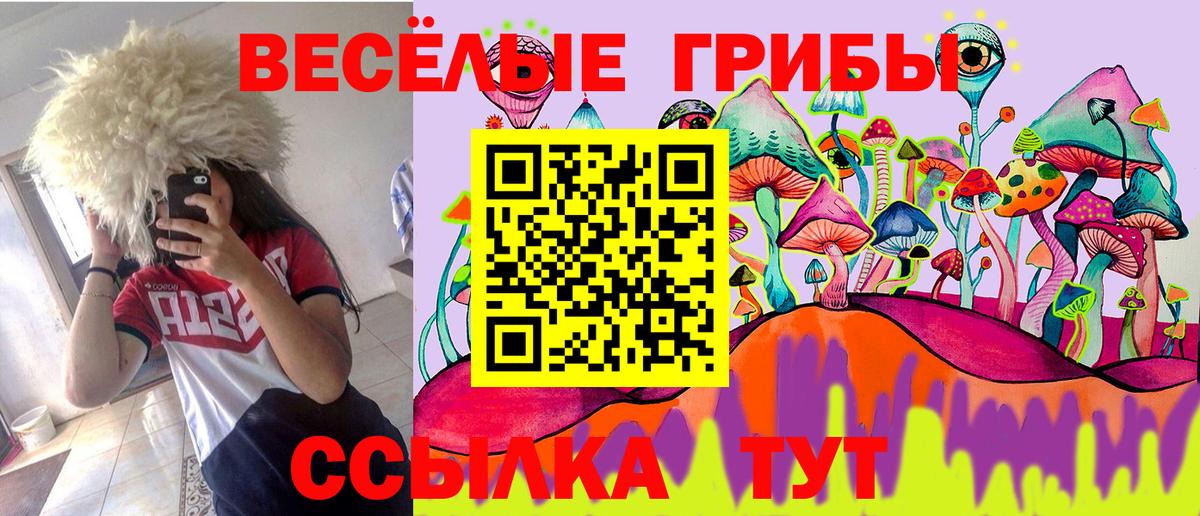 Наро-Фоминск  Псилоцибиновые грибы Magic Shrooms  Вход с VPN 